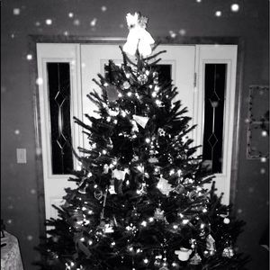 Meet your Posher, Bethany